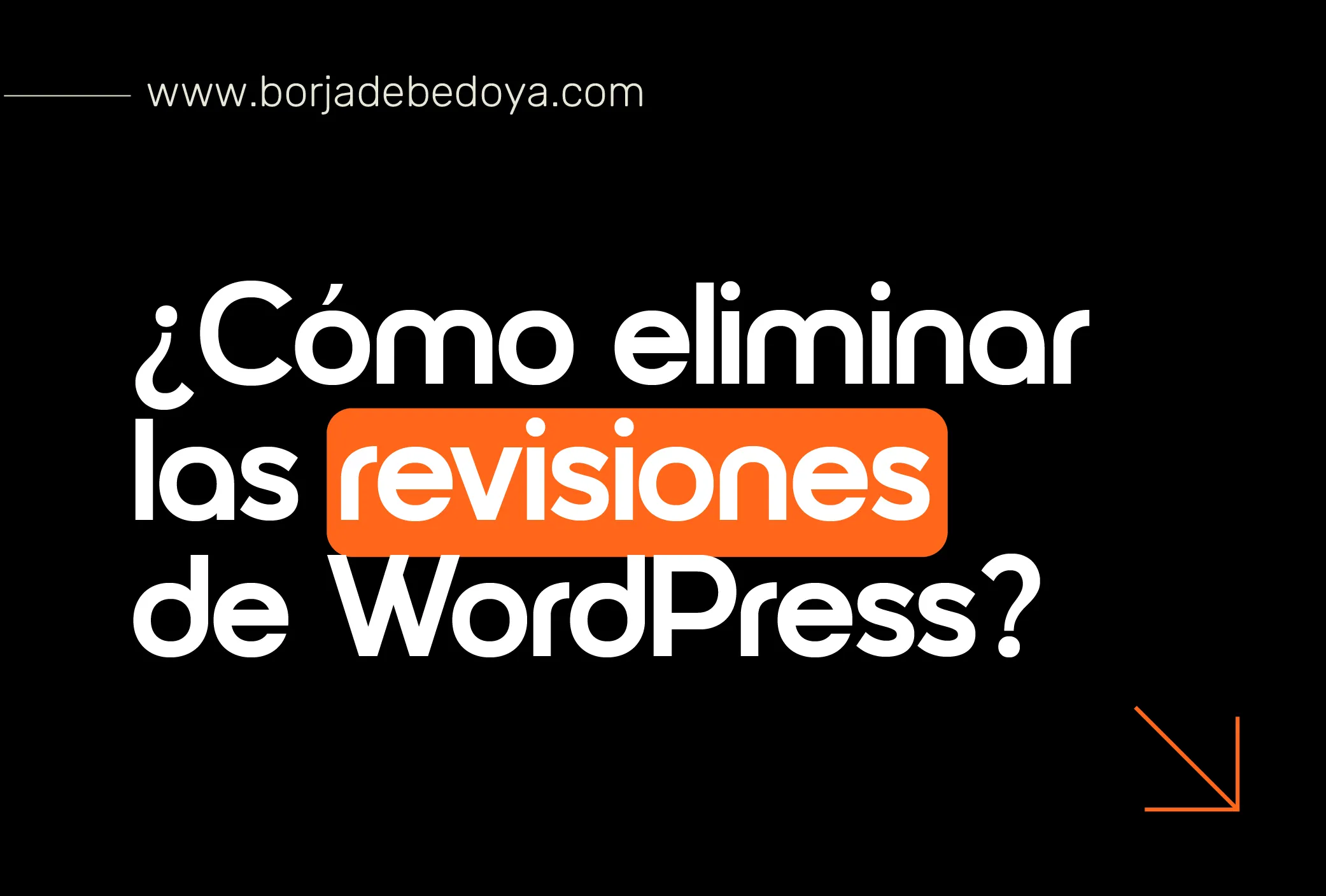 revisiones de worpress